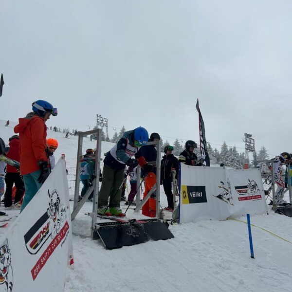 IMG-20250217-WA0014
