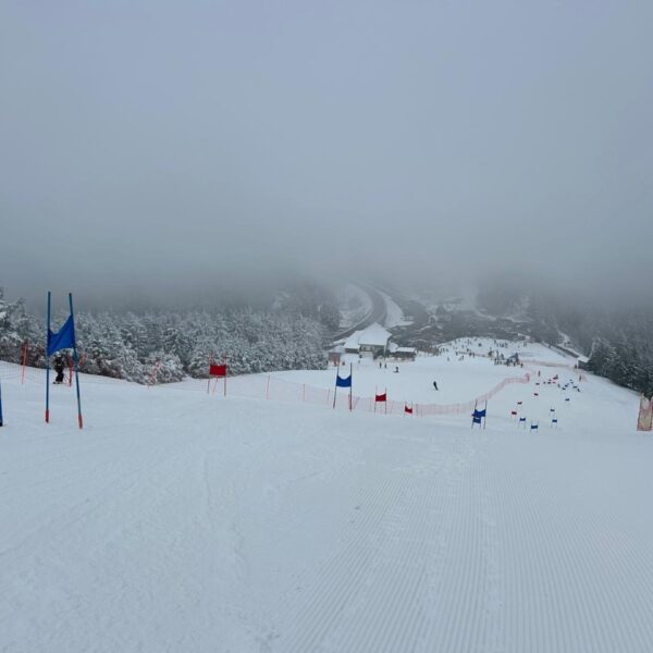 IMG-20250217-WA0023