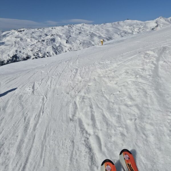 IMG-20250412-WA0014