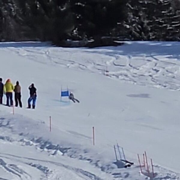 Screenshot_20260131_170938_Gallery[1]