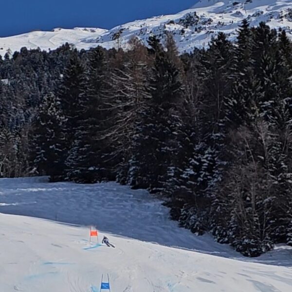 Screenshot_20260131_171219_Gallery