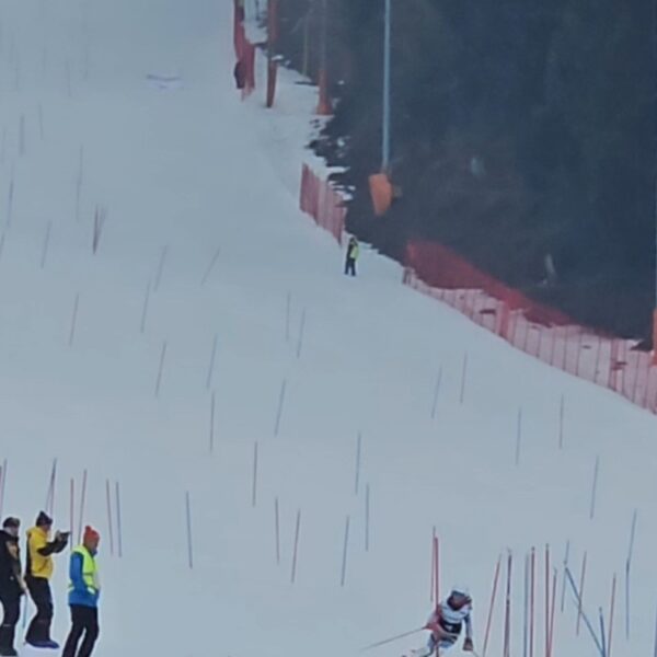 Screenshot_20260221_114258_Gallery