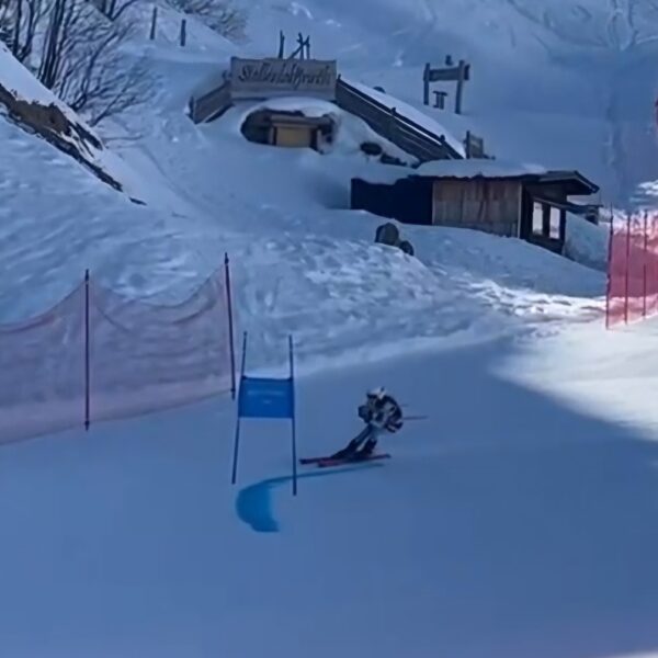 Screenshot_20260319_173222_Gallery