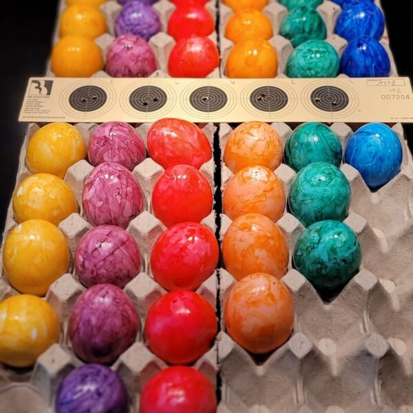 20230408_072849 20230408_072849